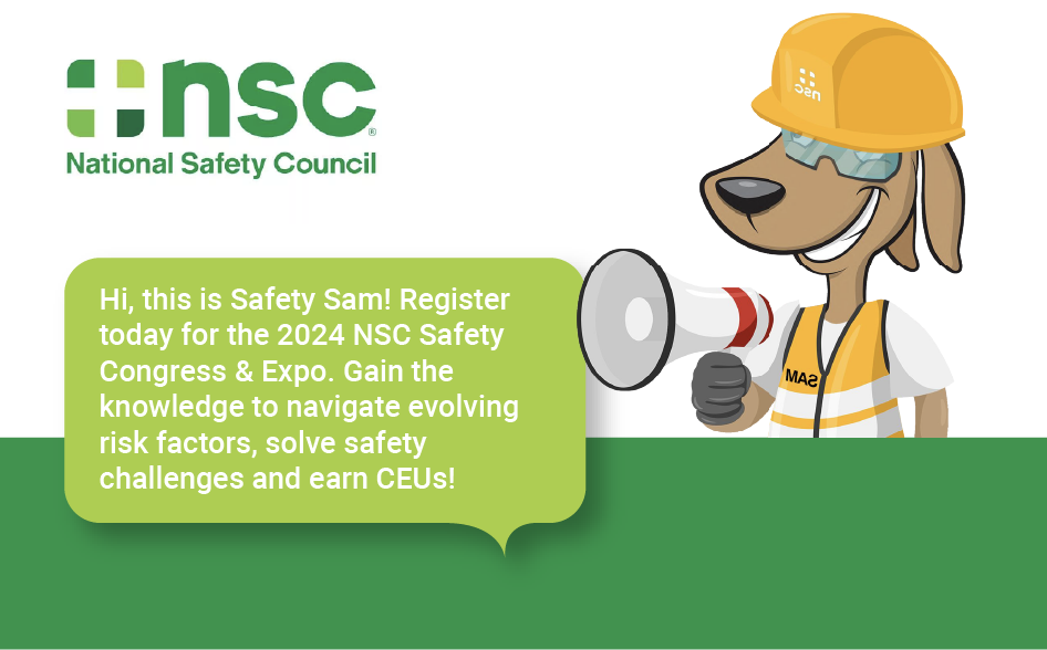 The National Safety Council Case Study